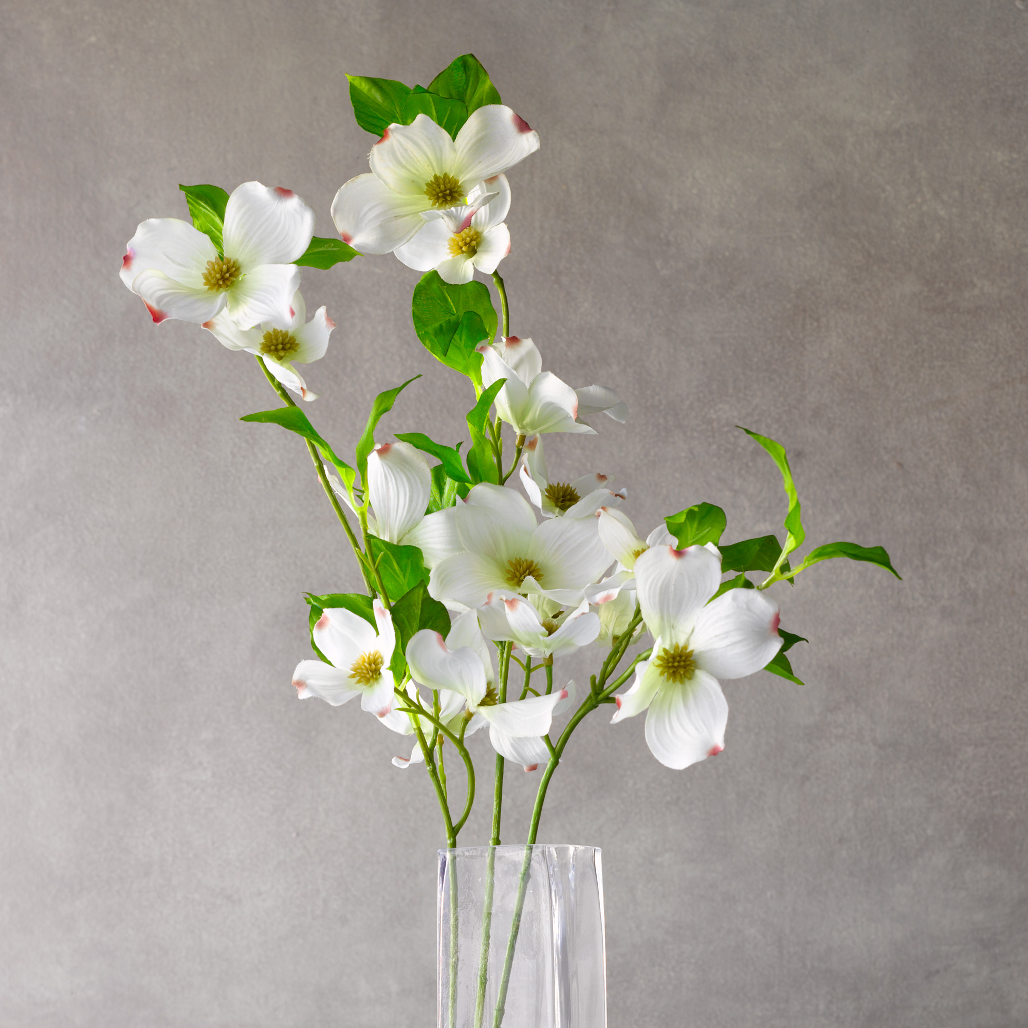 Dogwood Branch Arrangement