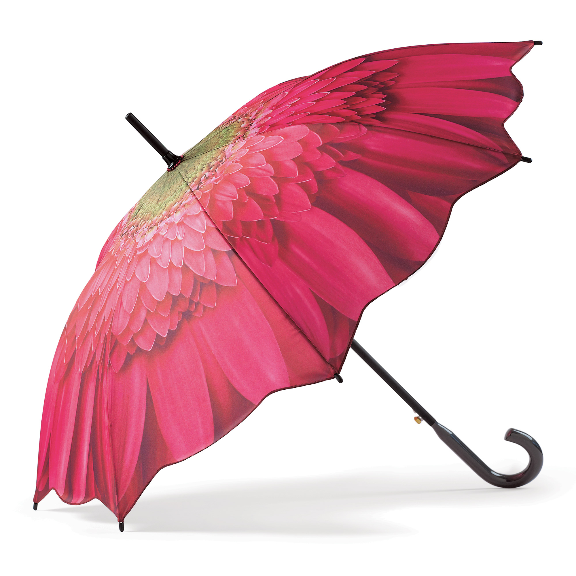 Pink Gerbera Daisy Umbrella Gump's