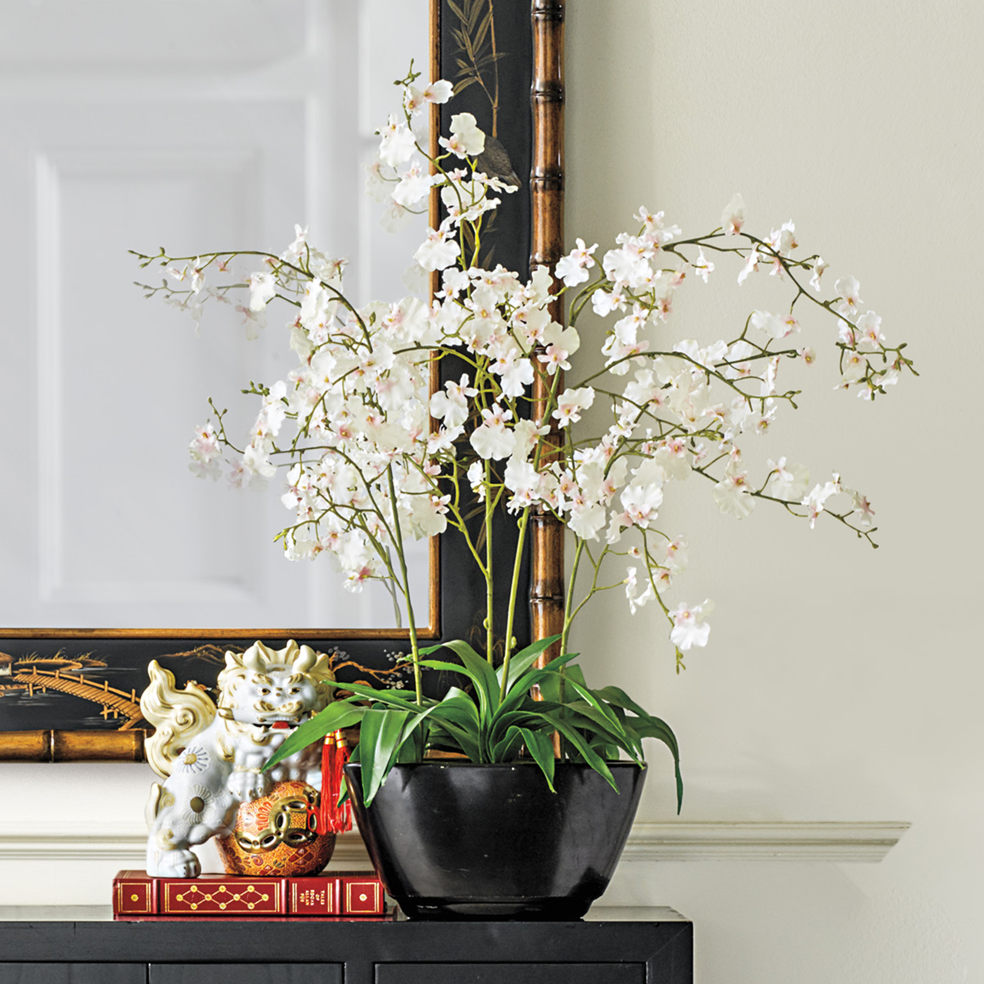 Oncidium Orchid