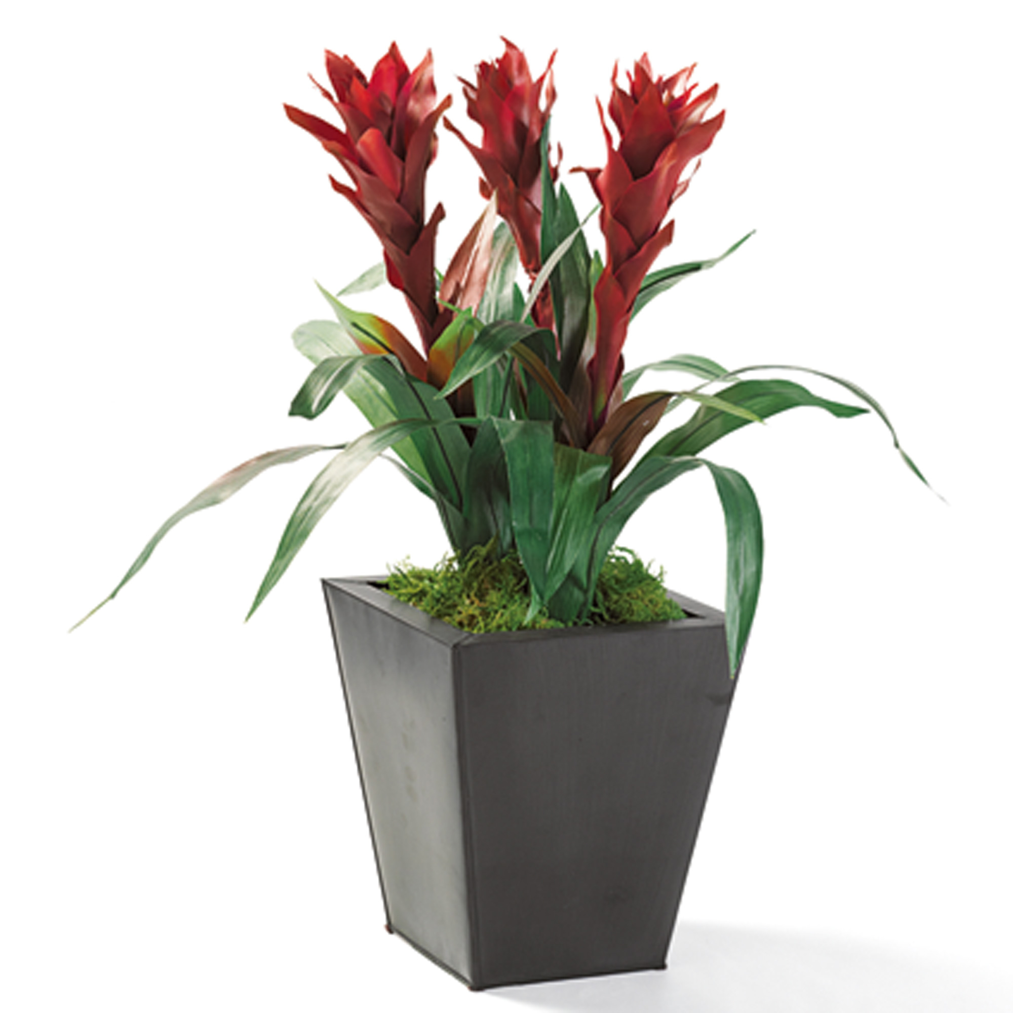 Silk Blend Bromeliad Trio Plant