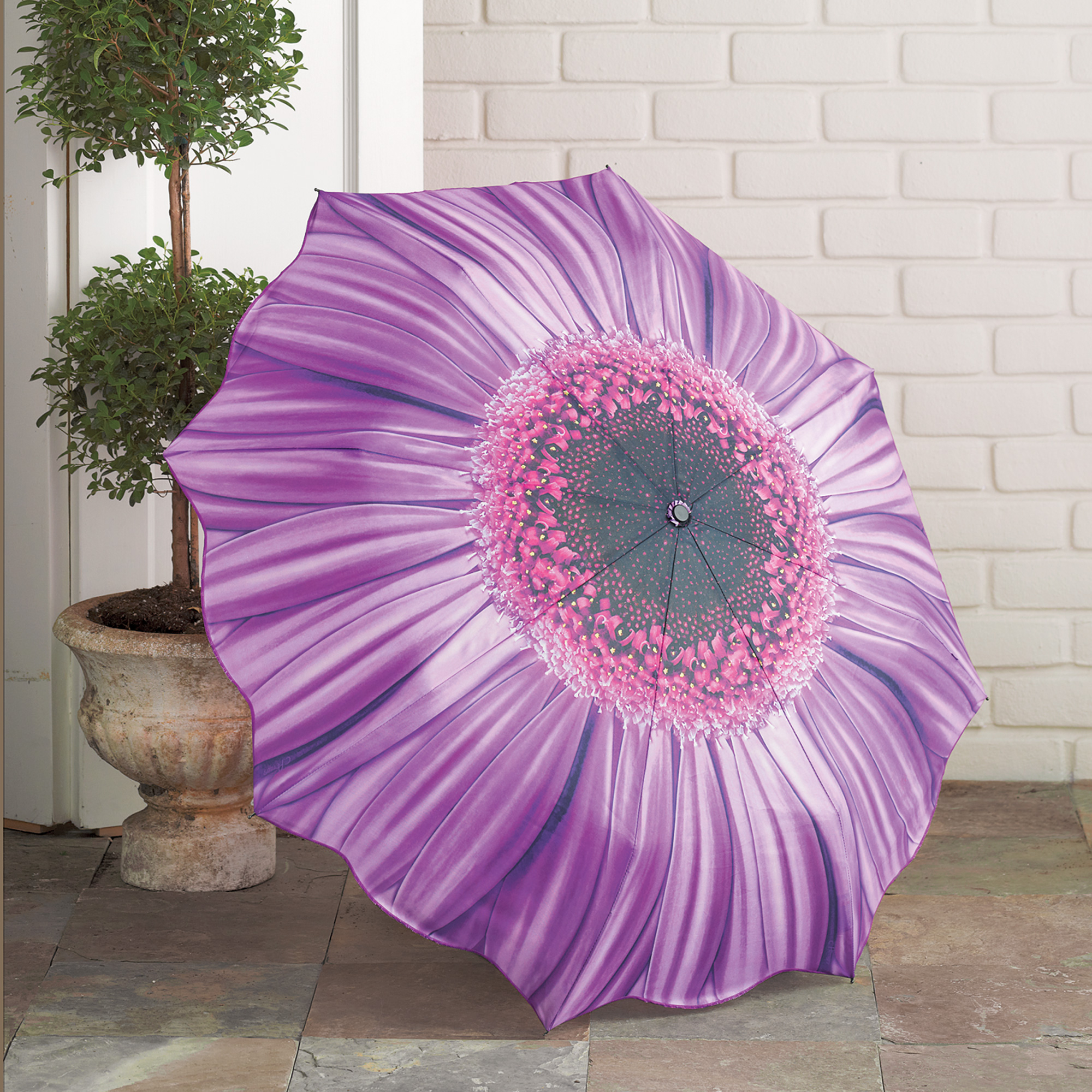 Purple Gerbera Daisy Umbrella Gump's