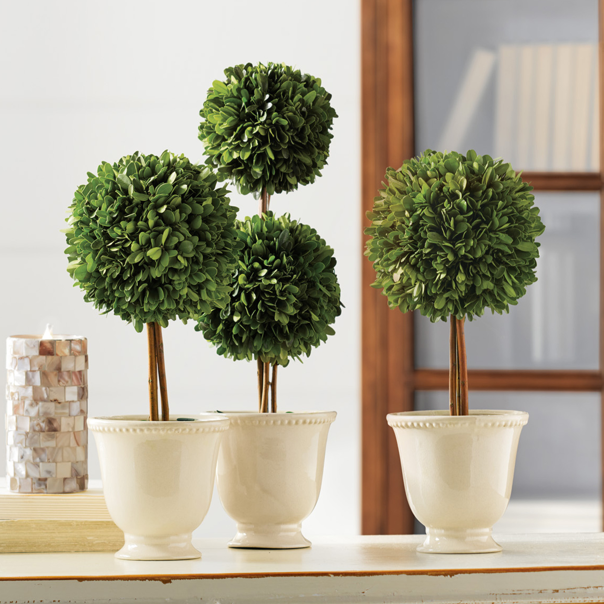 Preserved Boxwood Ball Topiaries | Gump's