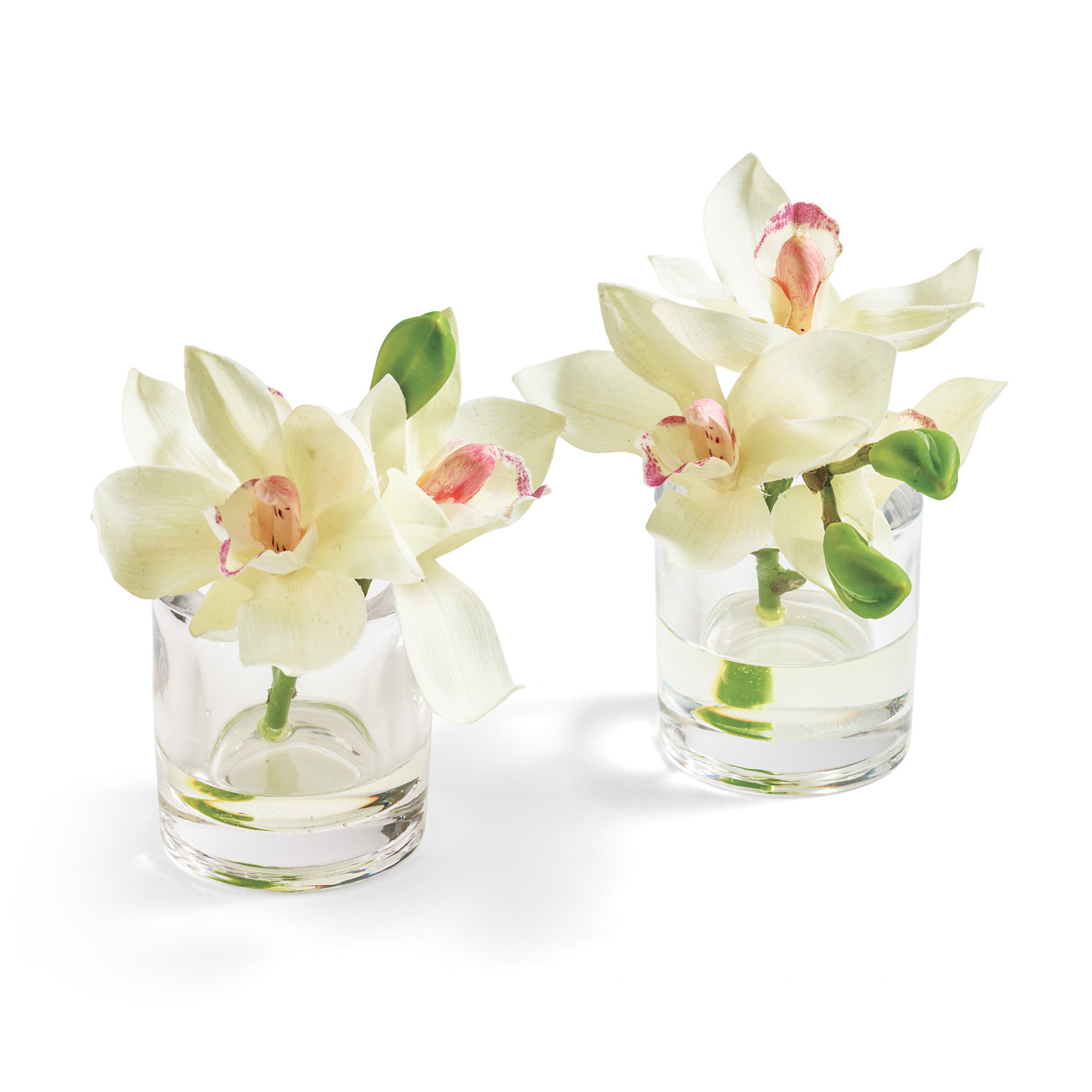 White Cymbidium Orchids With Glass Vases Gump S