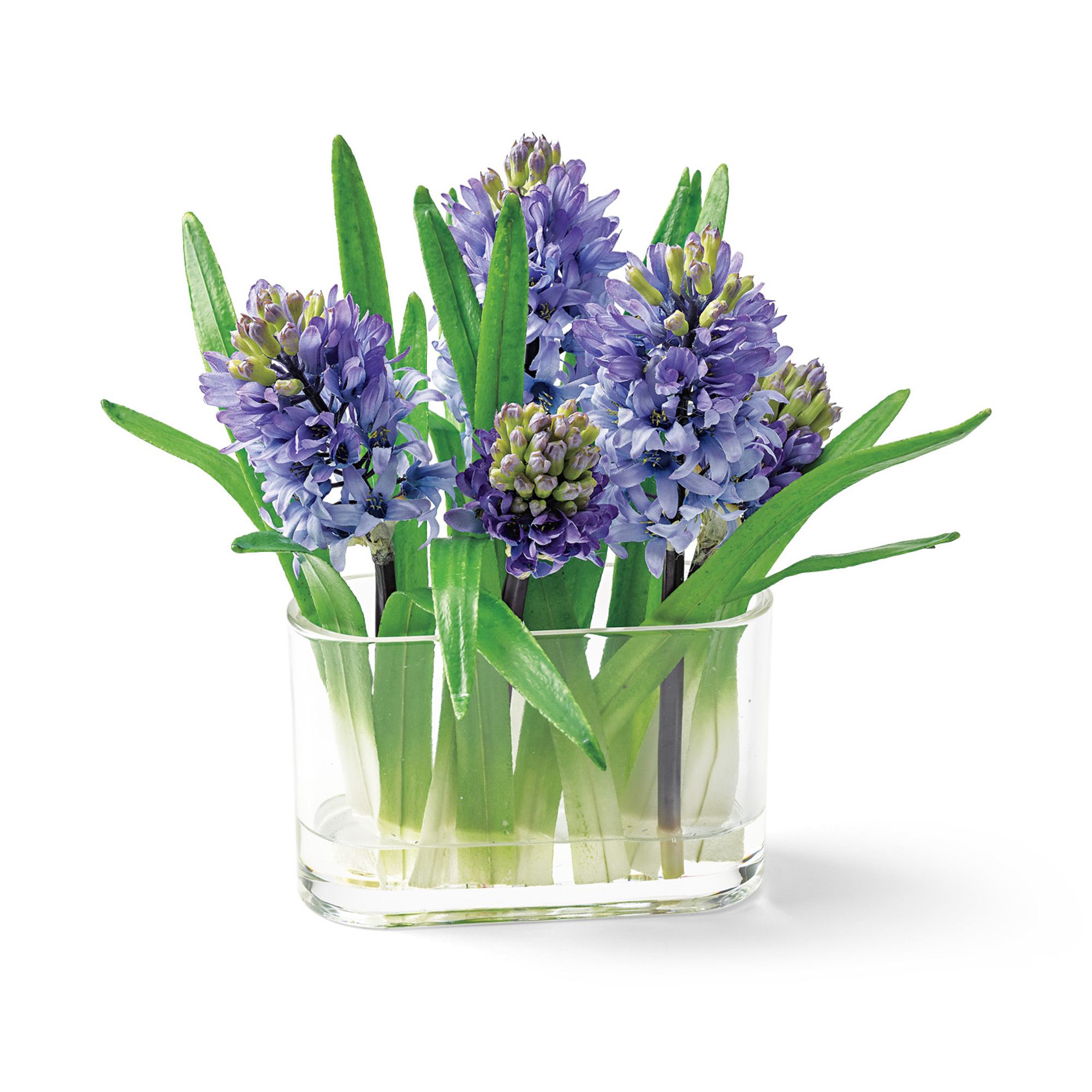 Purple Hyacinth Arrangement Gump's