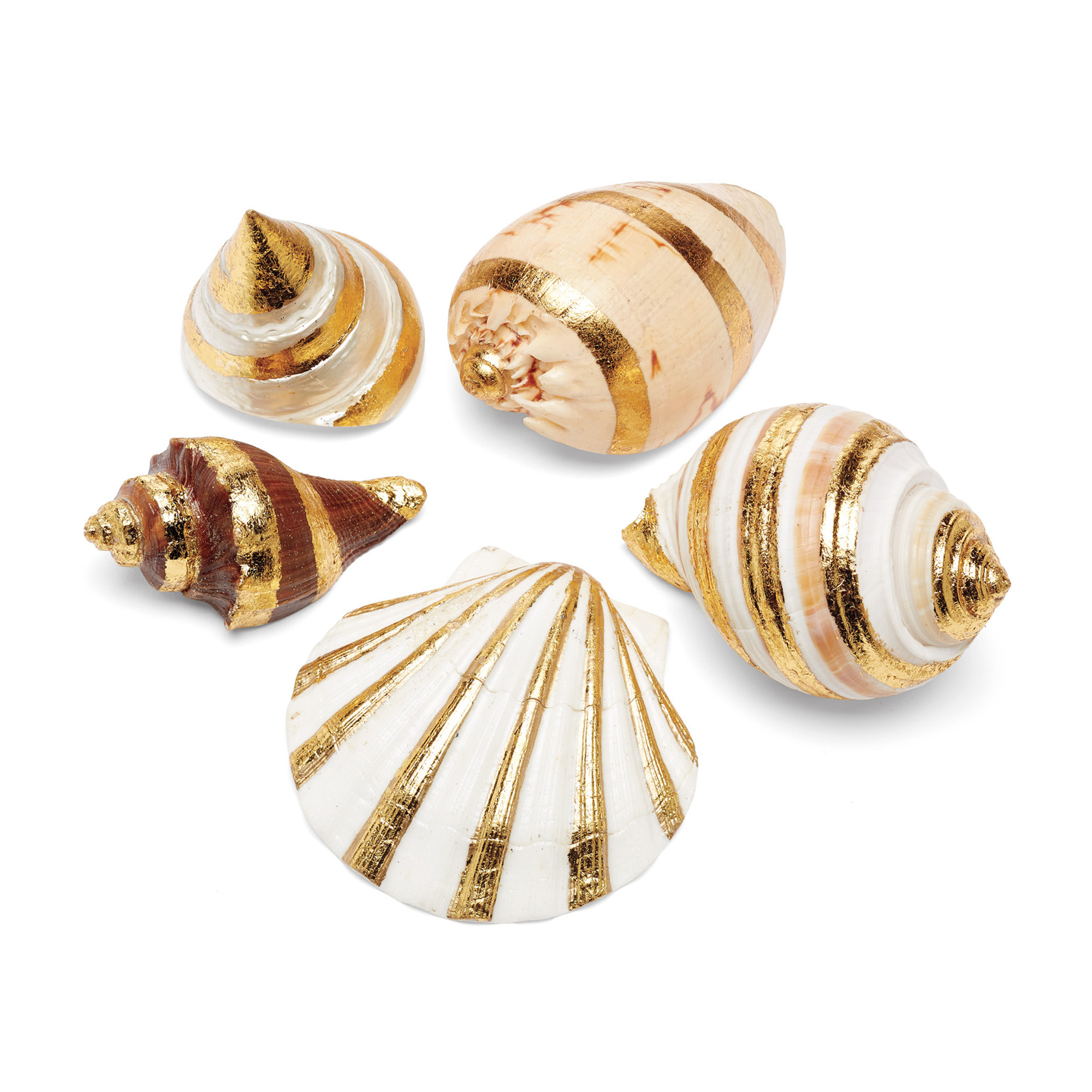 GoldLeaf Seashells, Set Of 5 Gump's