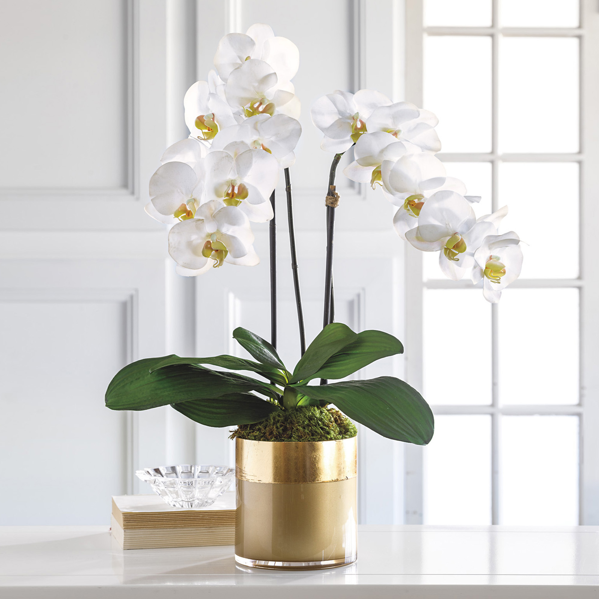 Double White Phalaenopsis | Gump's