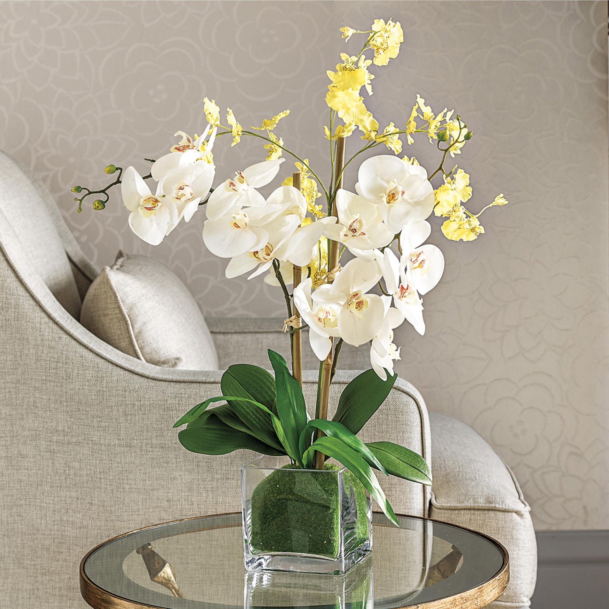 Double Phalaenopsis & Oncidium Arrangement | Gump's