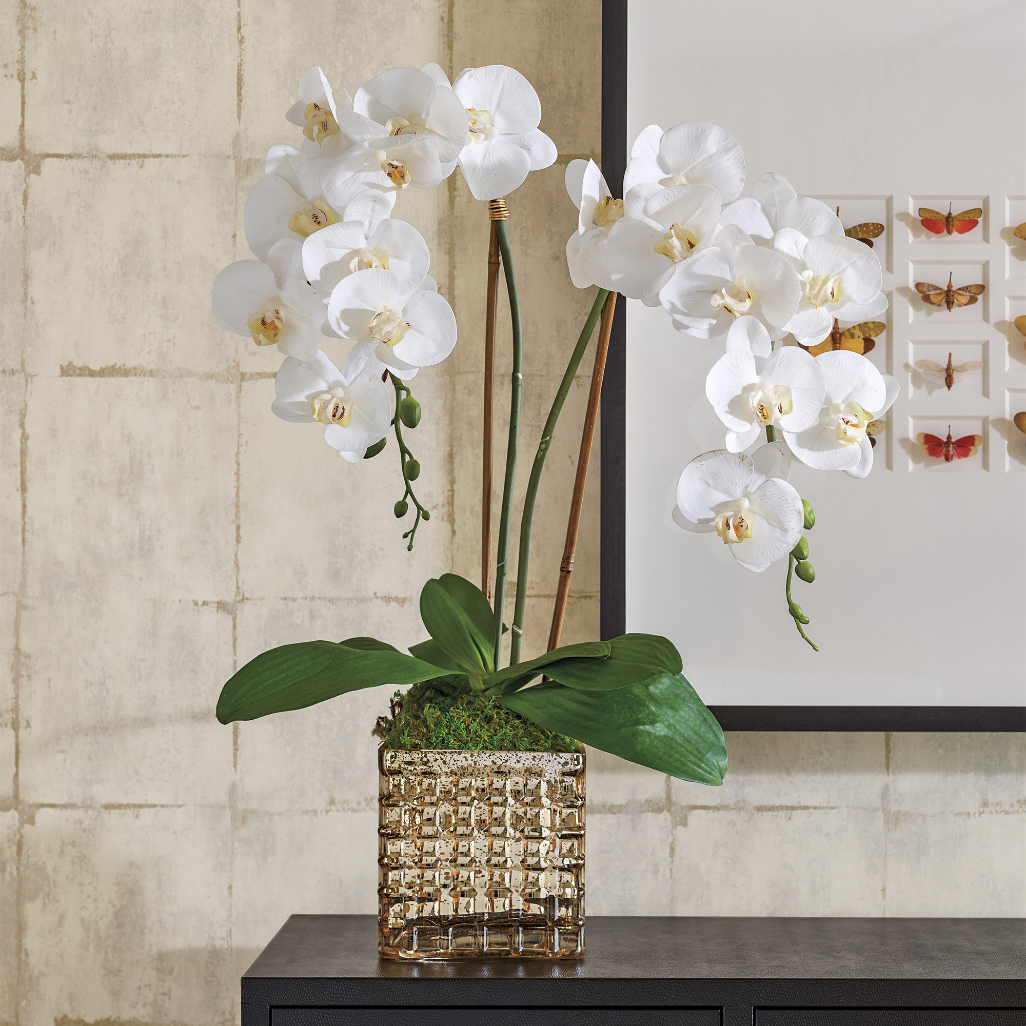 Double White Phalaenopsis Orchid | Gump's